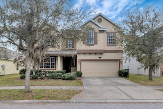 10909 Observatory Way, Tampa, FL 33647