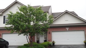 1351 W Crane View Ct Unit 430903, Round Lake, IL 60073