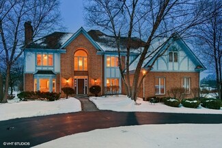 22955 N Foxtail Dr, Kildeer, IL 60047
