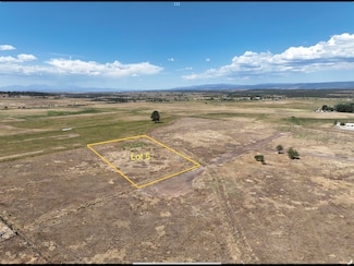 115 S Oro Place, Norwood, CO 81423