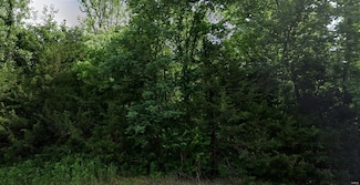 0 Regina Rd, Cedar Hill, MO 63016