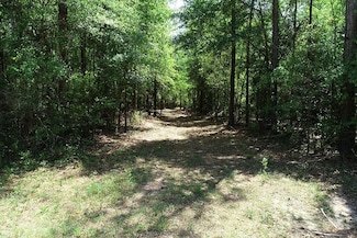 0 Phillips Rd E, Moselle, MS 39459
