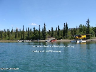 B17 L7 Keys Point, Port Alsworth, AK 99653