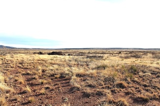7306 New Mexico 104, Conchas Dam, NM 88416
