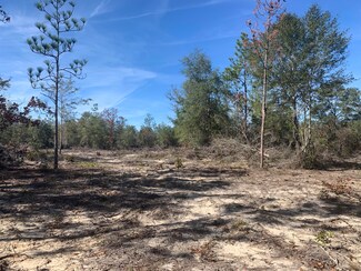 0 Tom Martin Rd, Defuniak Springs, FL 32433