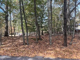Lot 11 Autumn Rd, Delaware Township, PA 18328