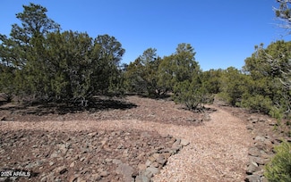 60 E County Road #8140 Rd Unit 15, Vernon, AZ 85940