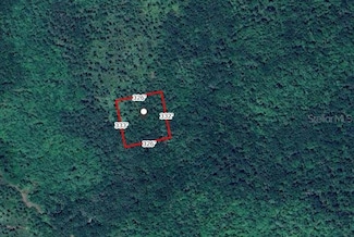 0 No St Unit MFRV4945850, Oak Hill, FL 32759