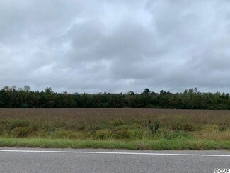 TBD Swamp Fox Hwy E, Tabor City, NC 28463