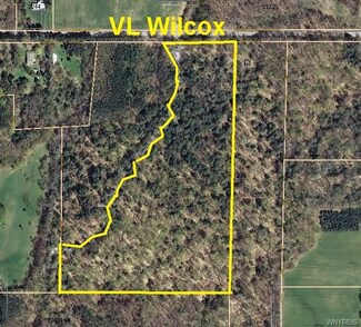 v/l Wilcox Rd, North Collins, NY 14111