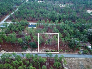 0 Narcissus Rd, Dunnellon, FL 34431