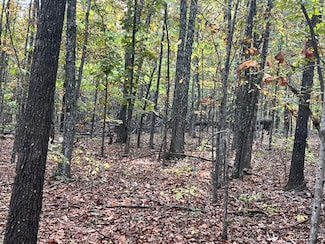 Lot 1 County Road 113, Piney Township, MO 65606