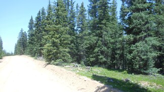 6617 Forbes Rd, Sangre de Cri, CO 81133