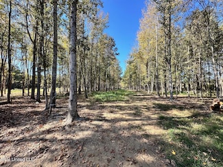 Lot #C Swamp Rd, Carthage, MS 39051