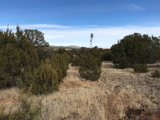 TR1B,1A, Tr1b 1a Jicarilla Rd Unit n/a, White Oaks, NM 88301