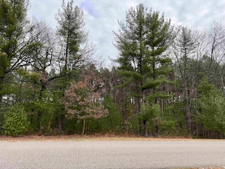 W1534 Buffalo Trail, Lyndon Station, WI 53944