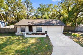1909 Dove Field Place, Brandon, FL 33510