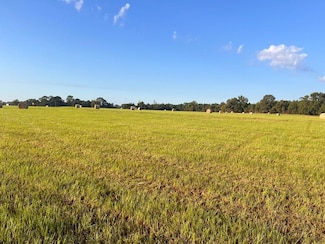 0 Highway 29, Luverne, AL 36049