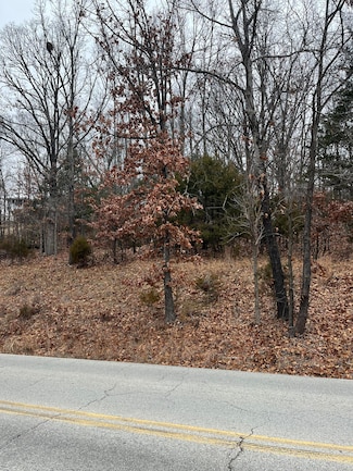 000 Hillcrest Dr, Kimberling City, MO 65686