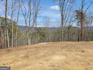 31 Old Sawmill Rd, Chatsworth, GA 30705