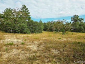 9097 N Peewee Point, Dunnellon, FL 34433