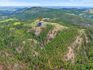TBD Roosevelt Ct Unit TBD Mount Roosevelt, Deadwood, SD 57732