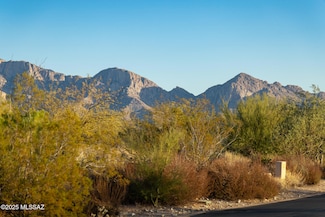 14191 Giant Saguaro Place, Oro Valley, AZ 85755