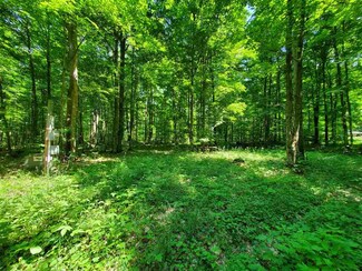 1656 Raspberry Ridge, Jordan Township, MI 49727