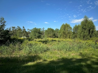 Lot 71 Pine Park Blvd, Orange, TX 77632