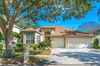 18949 Maisons Dr, Lutz, FL 33558
