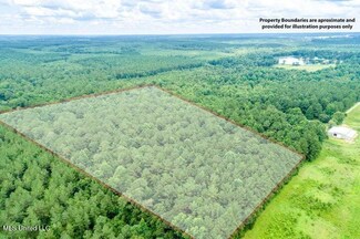 25.5 Acres Canty Rayborn Rd, Sumrall, MS 39482