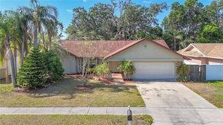 1623 Carter Oaks Dr, Valrico, FL 33596