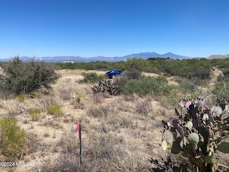7600 W Lost Diamond Ln Unit 125C, Sahuarita, AZ 85629