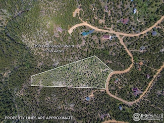 398 Overland Dr, Ward, CO 80481