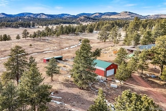 97 Deer Ln, Guffey, CO 80820