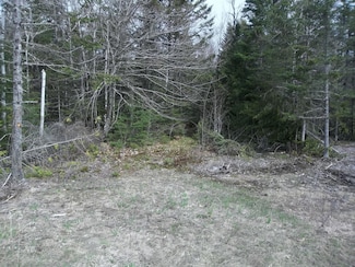M75 L3 Airline Rd, Alexander, ME 04694