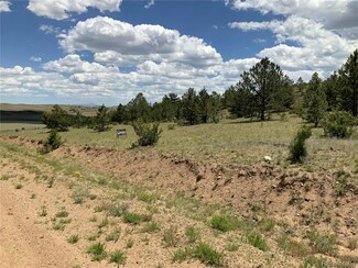 0 Vireo Way, Hartsel, CO 80449