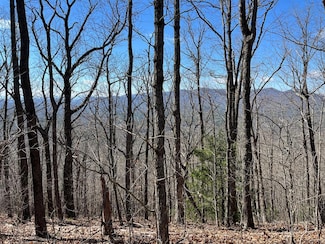 TBD Treehouse Trail, Murphy, NC 28906