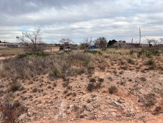 504 S 10th St, Brownfield, TX 79316