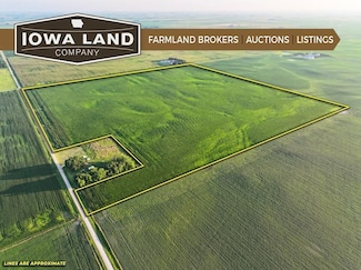 4139 230th Ave, Buffalo Center, IA 50424