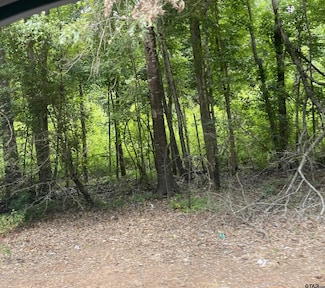 TBD Fm 557, Pittsburg, TX 75686