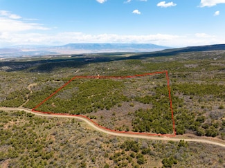 Lot 16 Elk Reserve Rd, Glade Park, CO 81523