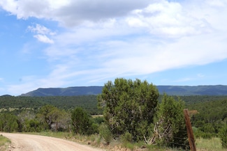 Lot 5 Sherwood Forest Dr, Torreon, NM 87061