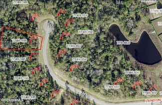 353 Landon, Sneads Ferry, NC 28460