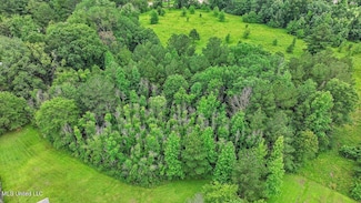 0 Hwy 13 Hwy, Mendenhall, MS 39114
