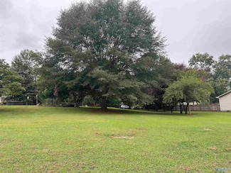 TBD Petty Ln, Brownsboro, AL 35741