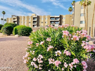 425 S Parkcrest Unit 323, Mesa, AZ 85206