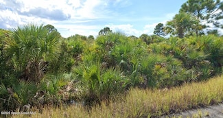 982 Astilbe St SW, Palm Bay, FL 32908