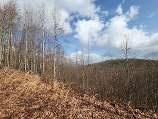 0 Terrace Ln Unit 415912, Blairsville, GA 30512