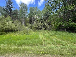 10556 Dream Lake Rd, Tipler, WI 54542